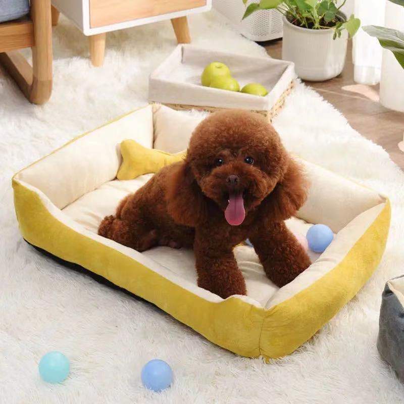 Cama Para Cachorros e Gatos com Cobertor- Sofá/Cama para Pets